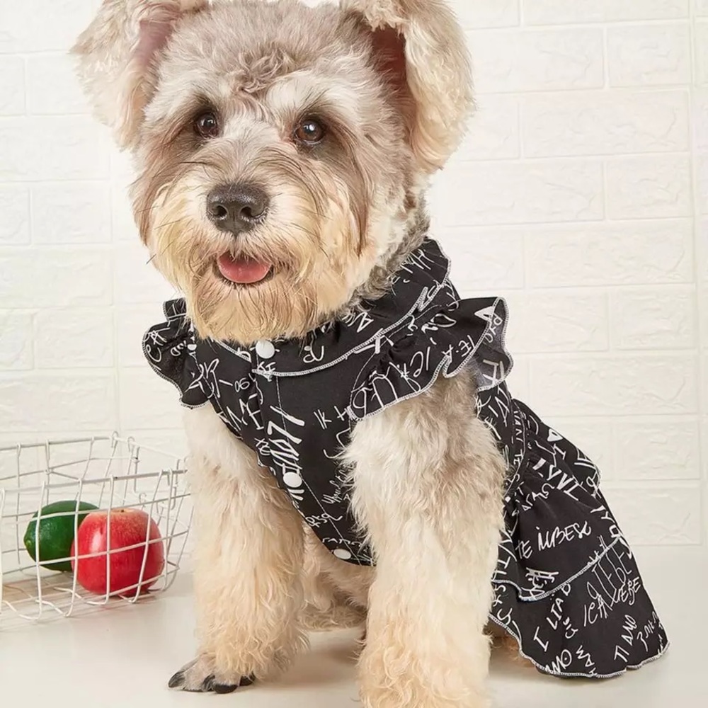 Fashion Pet Dress